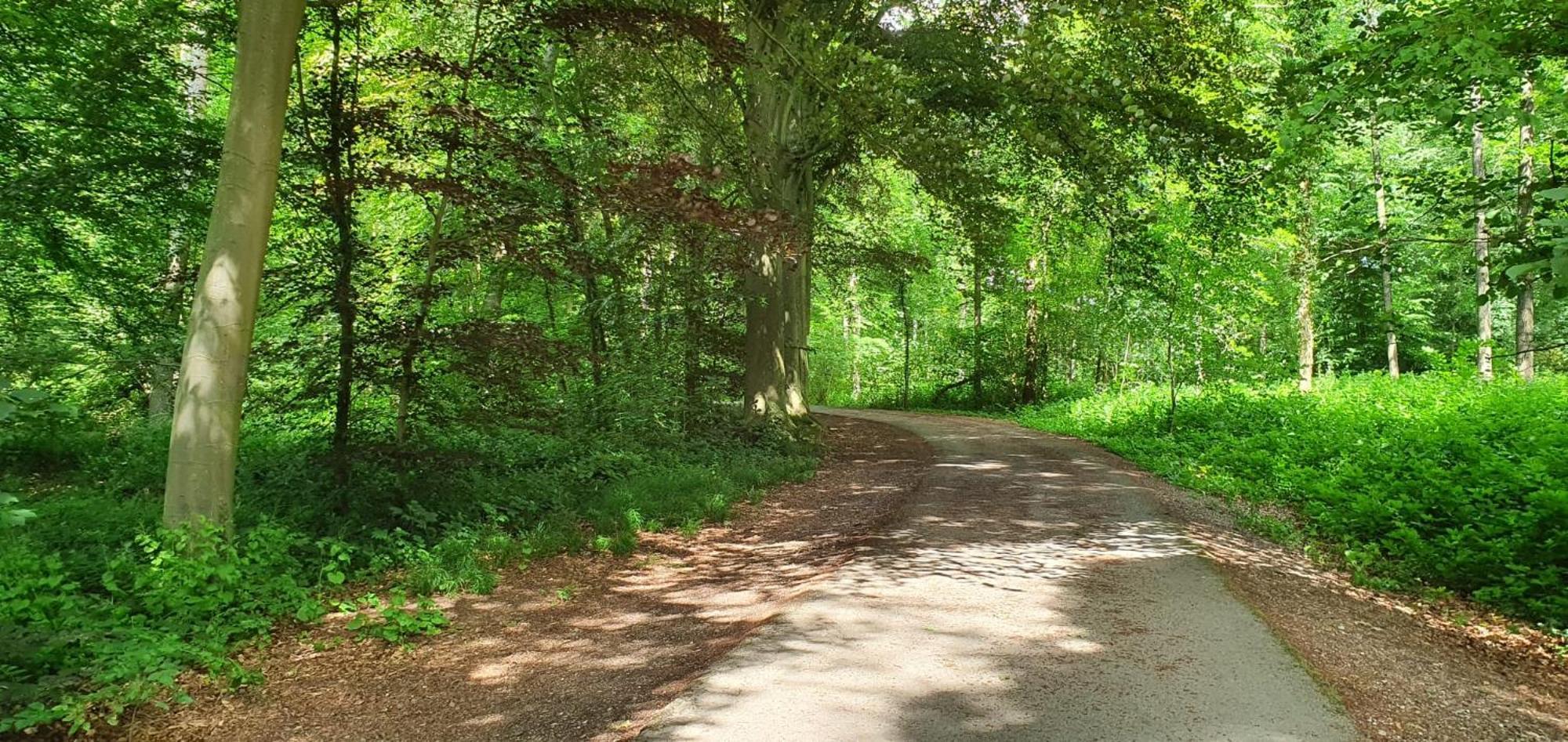 Le Loft Du Renard, Gite Rural A Namur Wepion Экстерьер фото